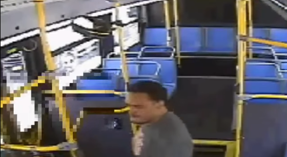 Punching Bus Rider