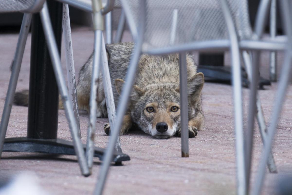 Image: Theodore Parisienne/NYDailynews