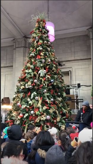 kaufman_tree_lighting