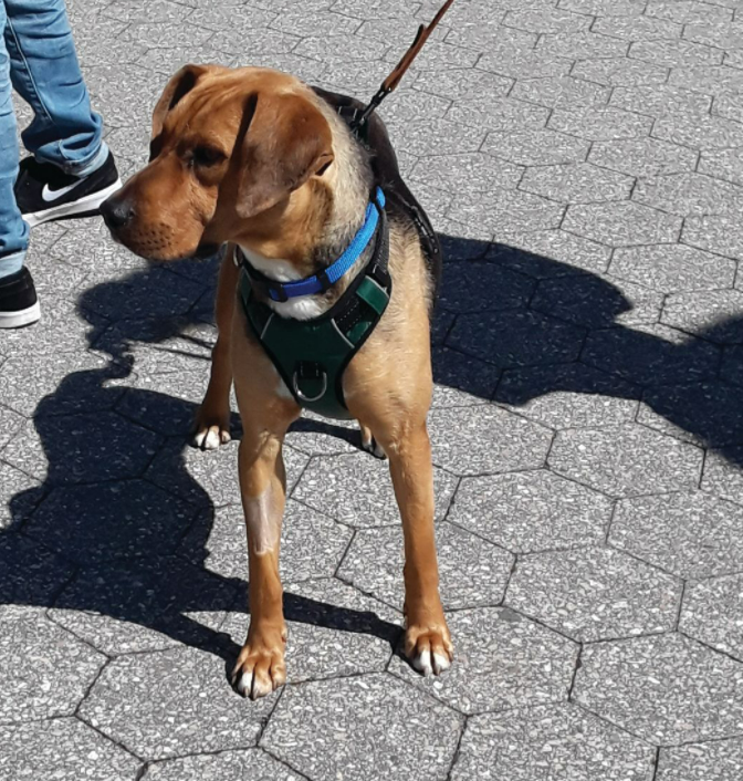 Photo by Ellen Levitt 