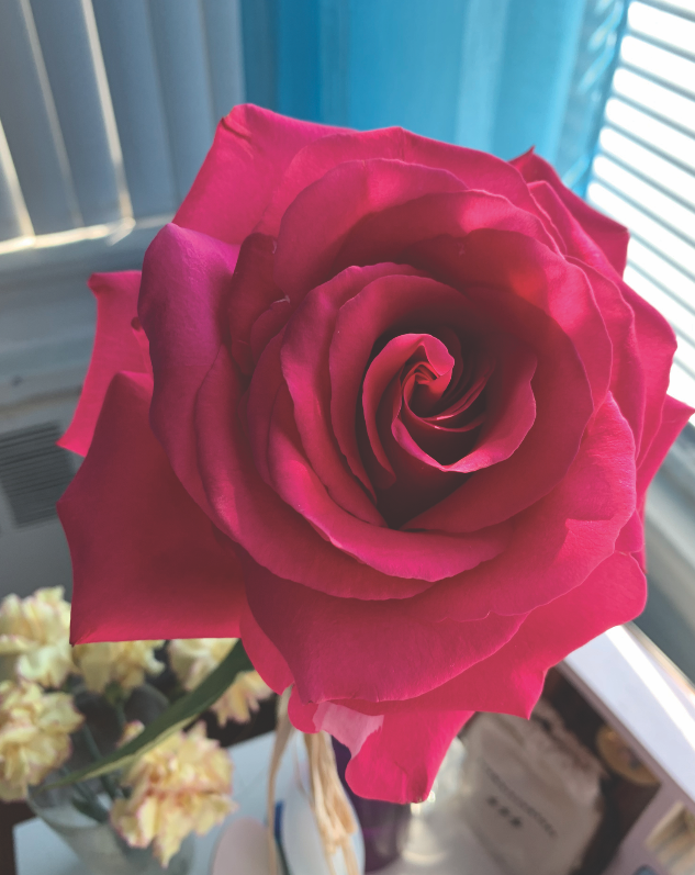 Photo by Flowers by Lunelly