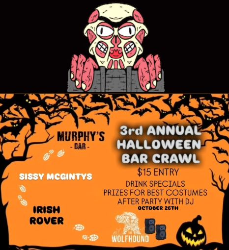 FireShot Pro Webpage Screenshot 2840 The Wolfhound • Instagram photos and videos www.instagram.com