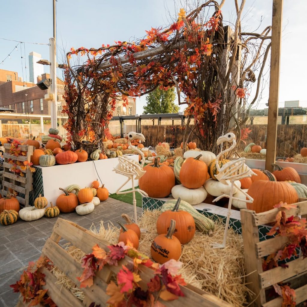 1. Cityside Pumpkin Patch