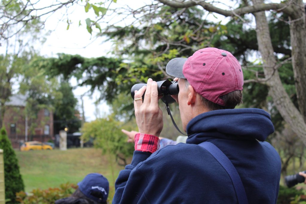 14. Fall Bird Walk