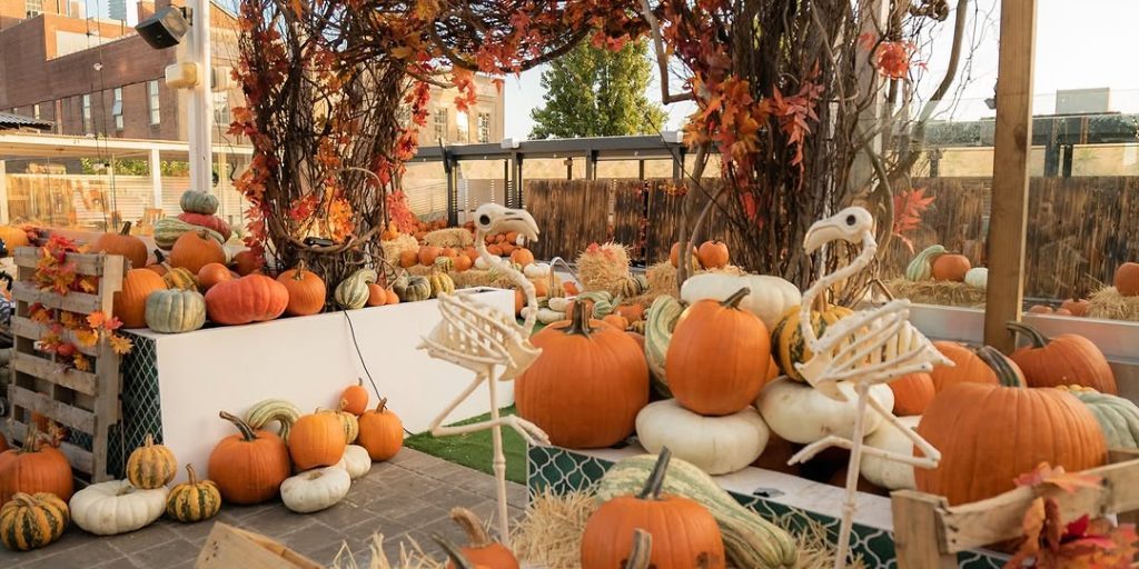 1. Cityside Pumpkin Patch