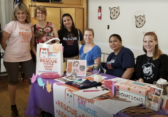 cat rescue astoria