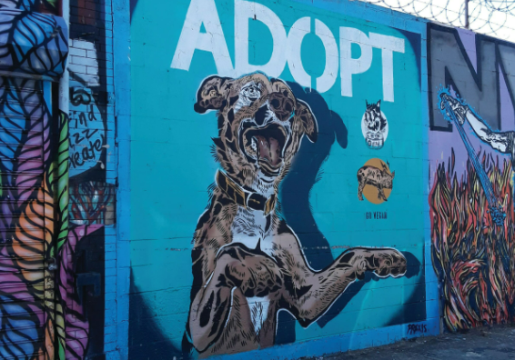 Give_Me_Astoria_image_66387