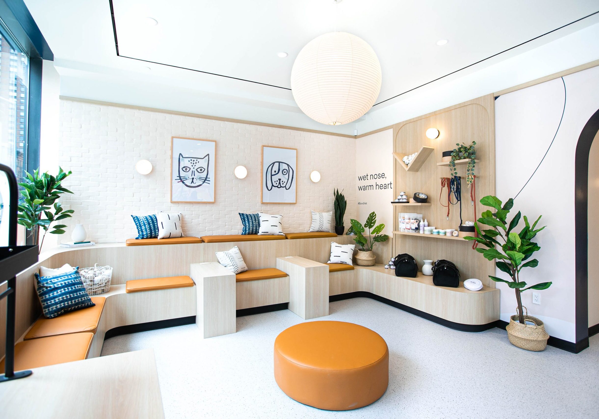 Give_Me_Astoria_image_68898