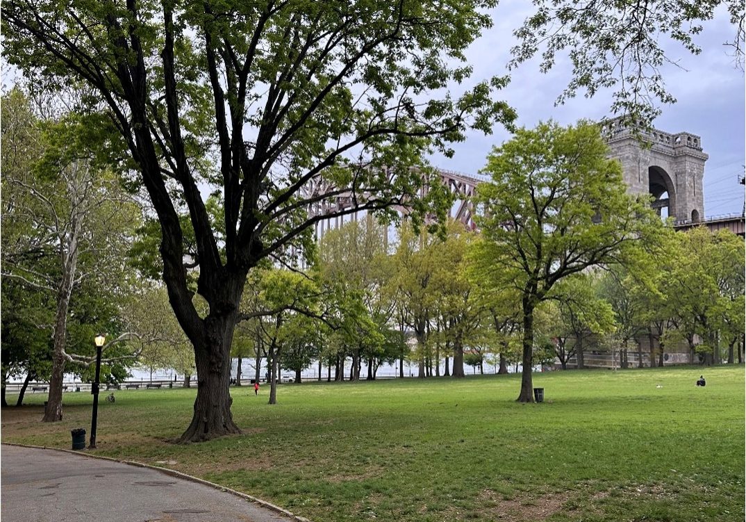 Give_Me_Astoria_image_71284