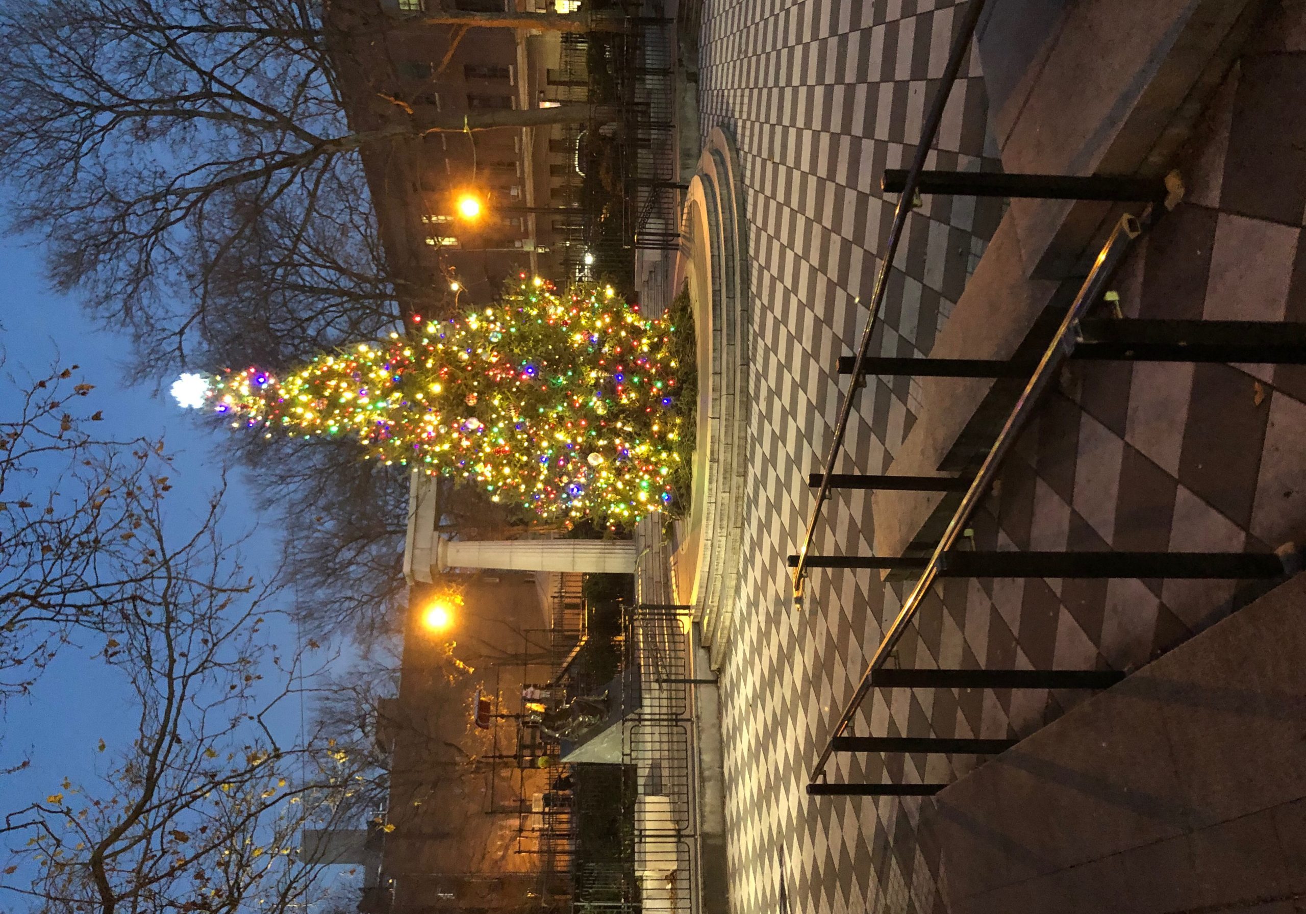 Athens Square Park Tree Lighting