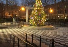 Athens Square Park Holiday Tree